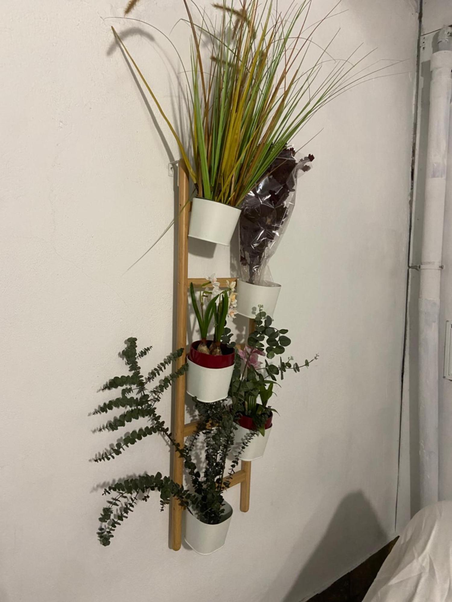 El Jardin De Usera * Madryt